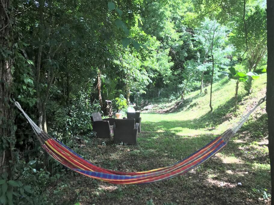 APPARTEMENT COLIBRI , Les Anses d 'Arlet Extérieur photo