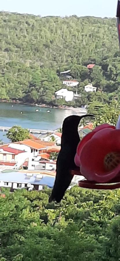 APPARTEMENT COLIBRI , Les Anses d 'Arlet Extérieur photo